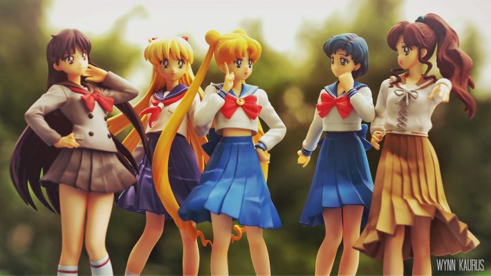 世界制服作戦 美少女战士 爱野美奈子