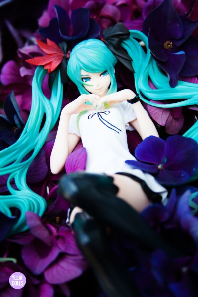 supercell feat. 初音未来 世界第一公主［棕色画框］