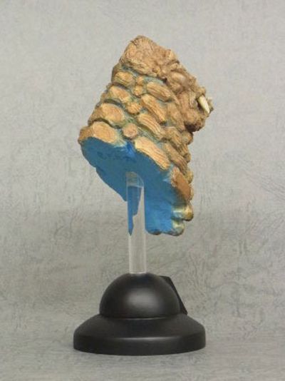 怪兽喜怒哀乐系列 雷德王