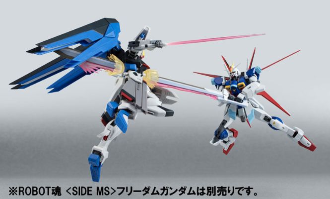 ROBOT魂〈SIDE MS〉机动战士高达SEED DESTINY ZGMF-X56S/α 空战型脉冲高达