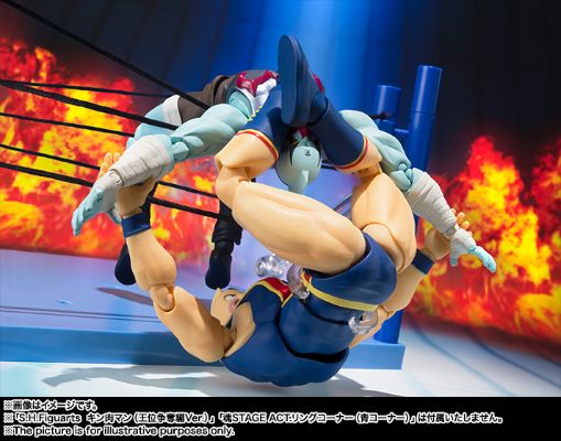 S.H.Figuarts 涅墨西斯