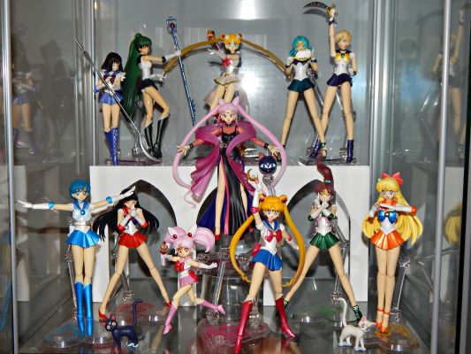 S.H.Figuarts 黑色淑女