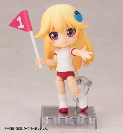 半袖体操服ボディ