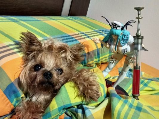 CAPCOM FIGURE BUILDER Creator's Model 吸血鬼 莫莉卡・安斯兰特 护士ver.