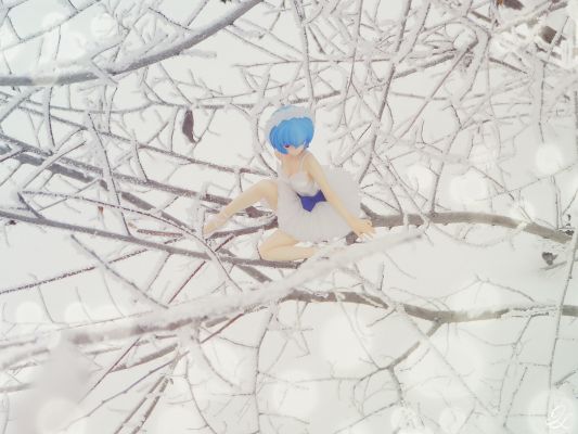 新世纪福音战士 绫波丽 芭蕾舞者风格