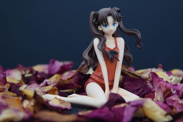 Fate/stay night SABER Summer Ver.