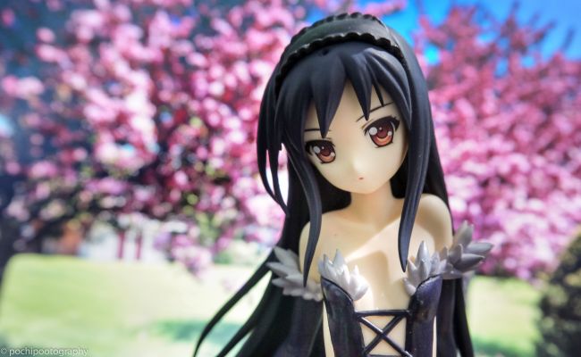 加速世界 黑雪姬