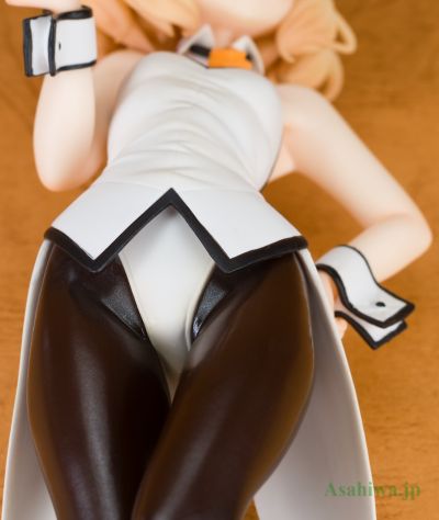 请问您今天要来点兔子吗？？ 桐间纱路&Wild Geese  兔女郎ver