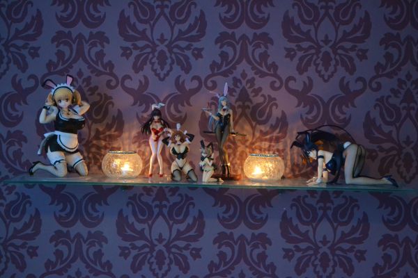 赵云子龙 兔女郎版