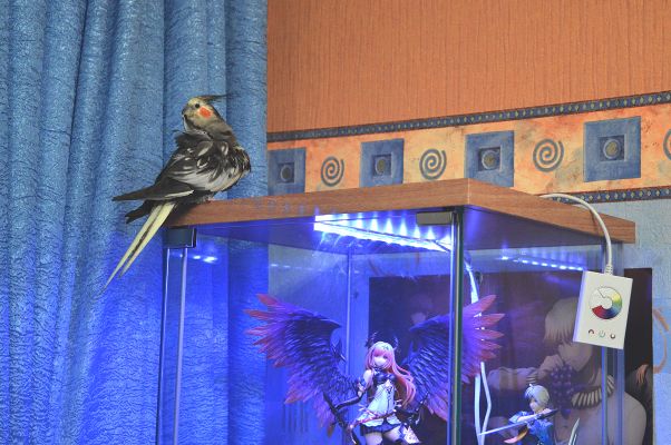 无尽传说2 路德加・威尔・库鲁塞尼克