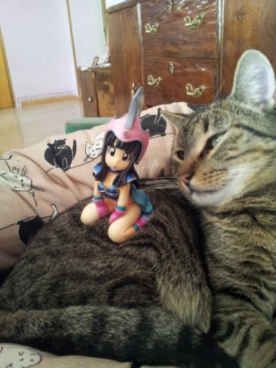 スカルチャーズ 龙珠 チチ