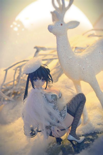 冬月茉莉 纯白版