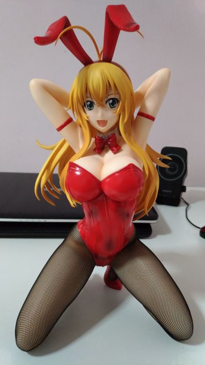 孙策伯符 兔女郎版