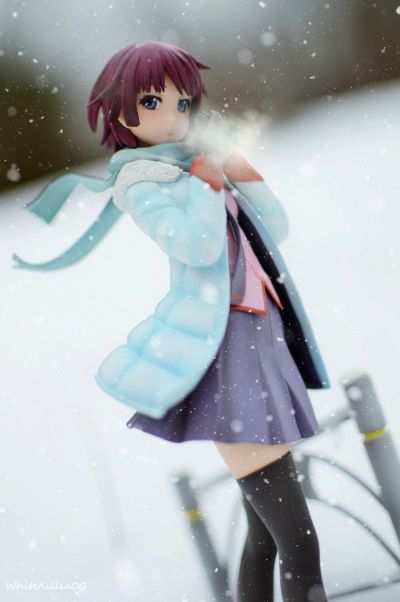 战场原黑仪　-恋物语-