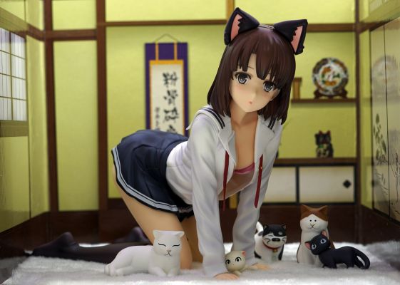 路人女主的养成方法 加藤惠