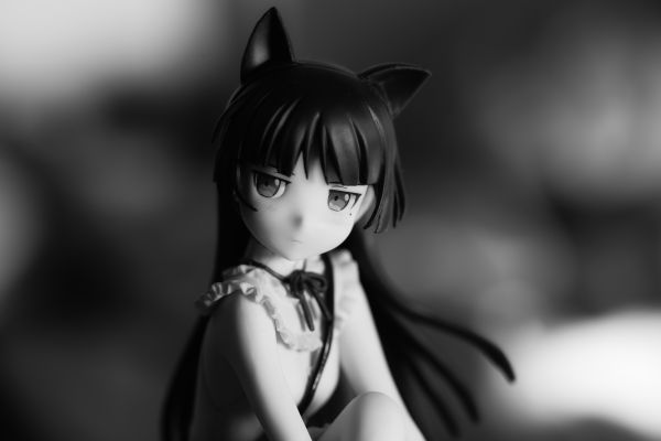 我的妹妹哪有这么可爱。第二季 黑猫 －回忆（夏コミ）－