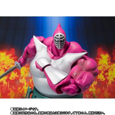 S.H.Figuarts 壮武道