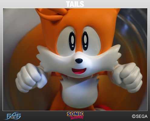  5 音速小子索尼克 2 マイルス・テイルス・パウアー 