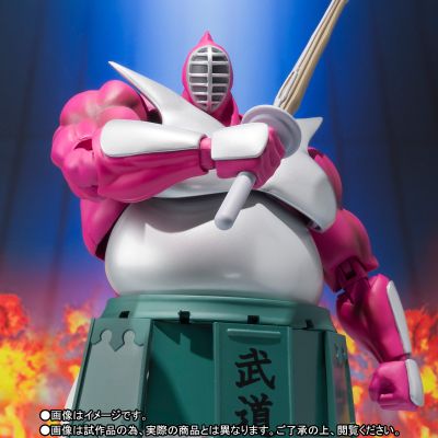 S.H.Figuarts 壮武道