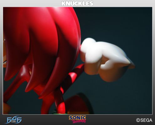  4 音速小子索尼克 ナックルズ・ザ・エキドゥナ Exclusive 