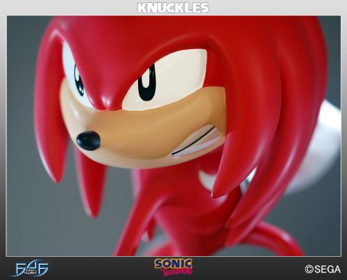  4 音速小子索尼克 ナックルズ・ザ・エキドゥナ 