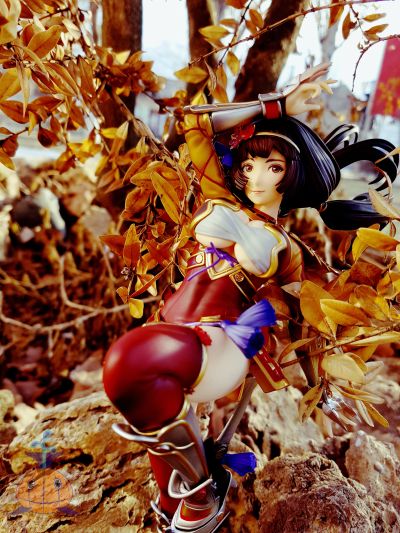 战国无双 井伊直虎