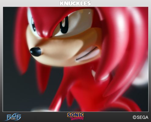  4 音速小子索尼克 ナックルズ・ザ・エキドゥナ Exclusive 