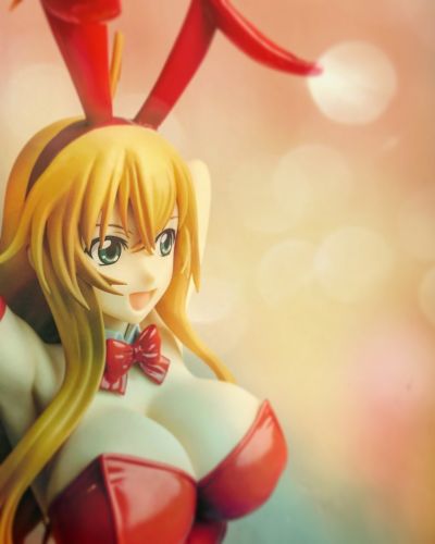 孙策伯符 兔女郎版