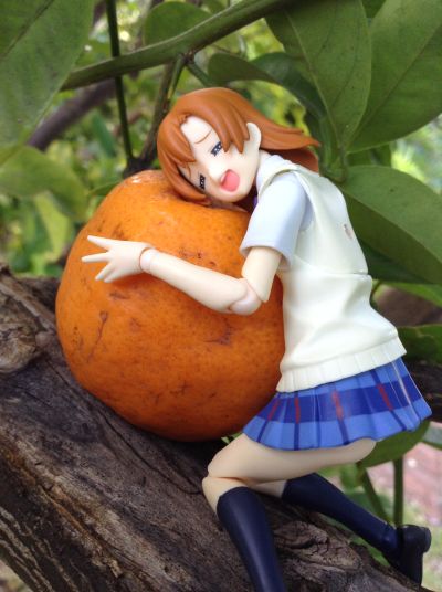 figma LoveLive! 高坂穂乃果