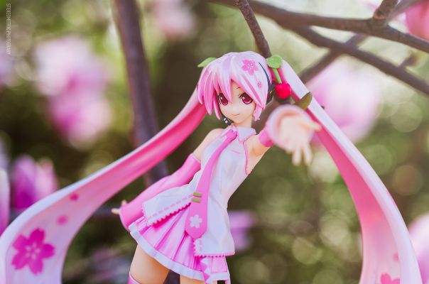 VOCALOID 初音未来 樱花未来