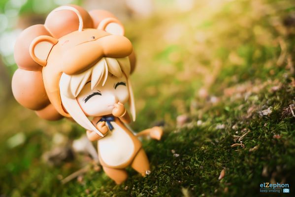 DXF  宝可拳 POKKÉN TOURNAMENT 路卡利欧