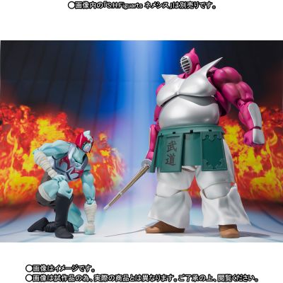 S.H.Figuarts 涅墨西斯