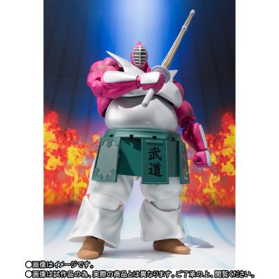 S.H.Figuarts 壮武道