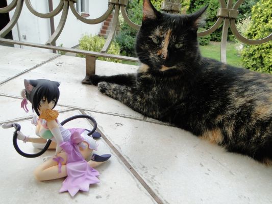 光明之心 いたずら怪盗 小梅