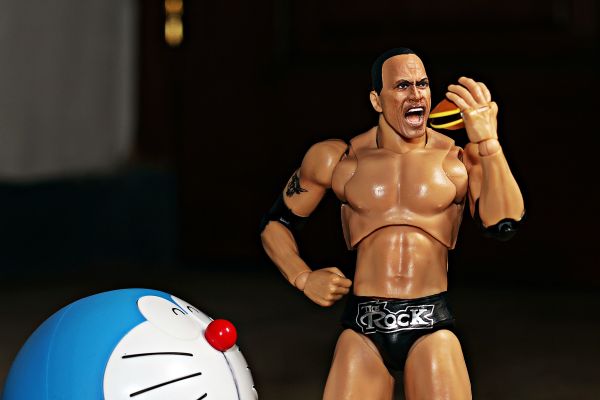 S.H.F WWE The Rock