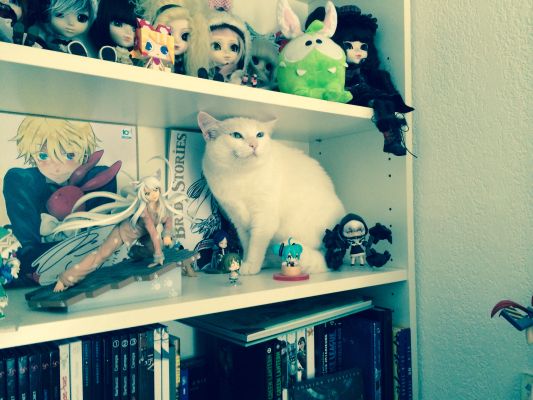 粘土人 #246 黑岩射手 黑岩射手 TV动画版