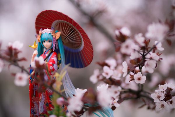 初音未来〜花色衣〜