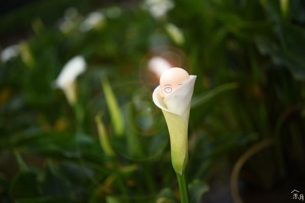 粘土人#575 一拳超人 埼玉