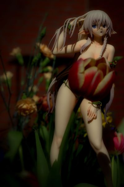 女皇之刃 美丽女斗士们 阿莱茵