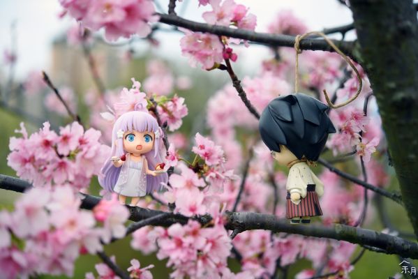 BEACH QUEENS 笨蛋测试召唤兽 姬路瑞希