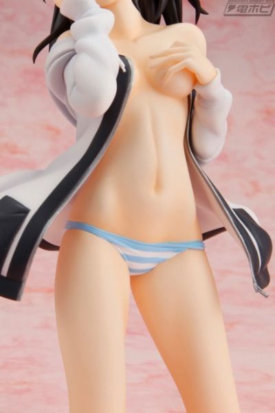 噬血狂袭 姬柊雪菜