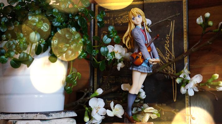 四月是你的谎言 宫园薰