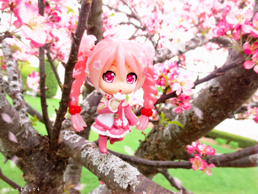 粘土人#500 樱花未来 在日本盛开