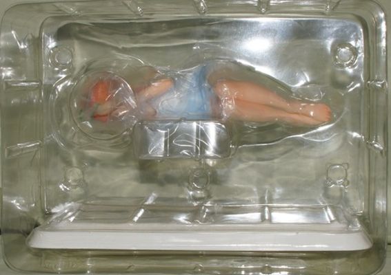 怀旧女主角系列 超音战士Borgman 亚妮丝・法姆 