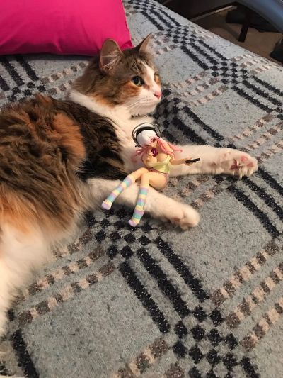 生活密着取材Special Figures Nitro 超级索尼子 そに子 ～おやつタイム～ しゃーべっとVer