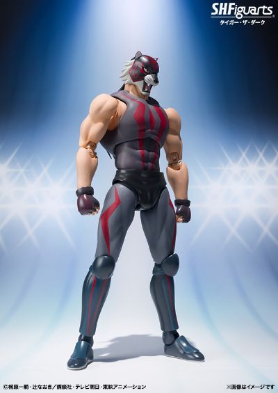 S.H.Figuarts 黑虎