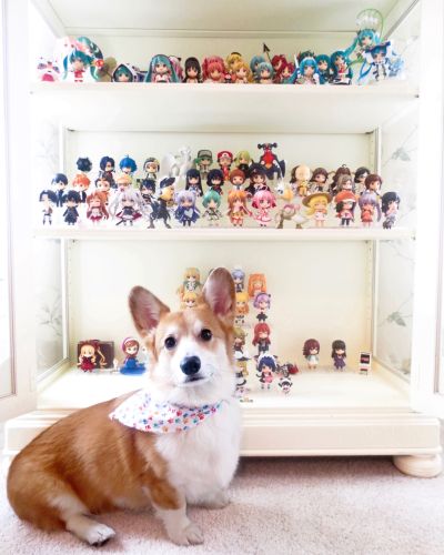 粘土人 #308 向阳素描×蜂窝 宫子