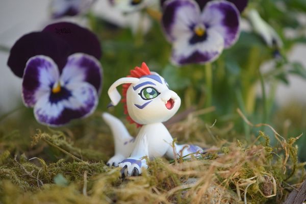 デジコレ デジタルモンスター デジコレ DATA1 数码暴龙大冒险 ゴマモン 