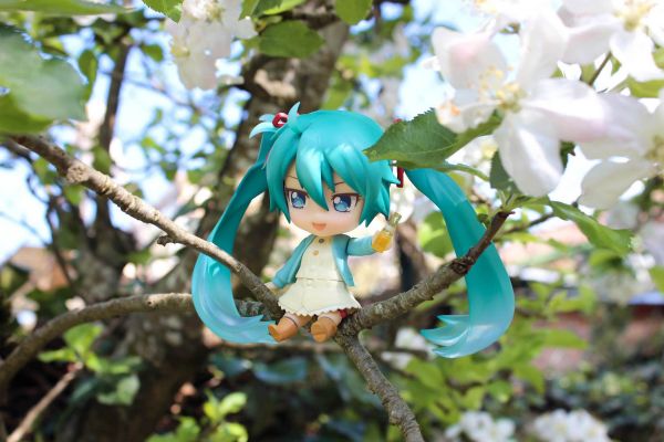 黏土人搭配 美妙天堂 黒须あろま ホリックトリッククラシックサイリウムコーデ