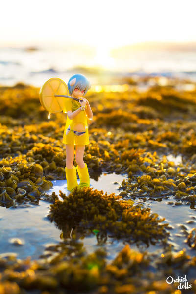 Extra Figure EVA 绫波丽 Fruits Punch feat.okama